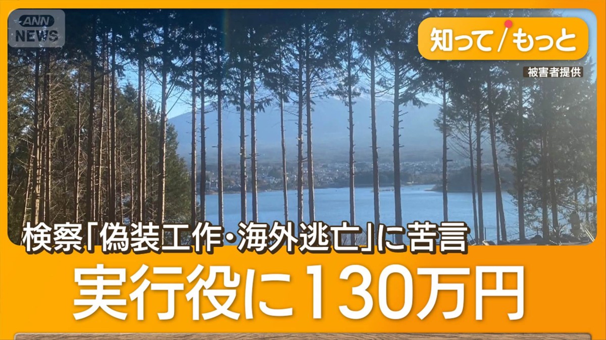 【甲府地裁】“勝手に樹木伐採”初公判　中国人被告「日本国籍を取得したい」と情状酌量を求める